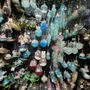 Photo of Waikiki Christmas Store
