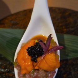 Kiwami Spoon