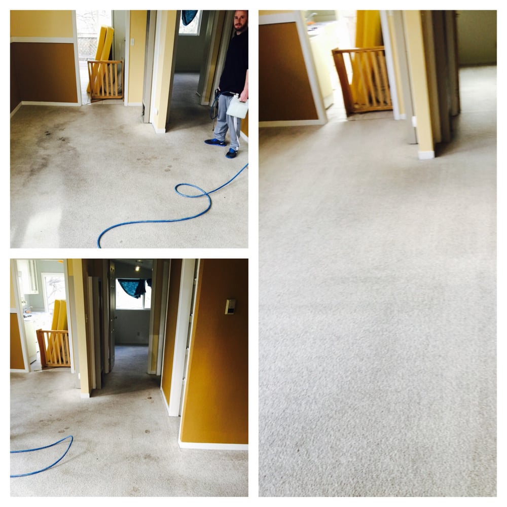 MAINSTREAM CARPET CLEANING 14 Photos & 59 Reviews Antioch