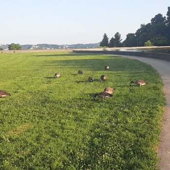 Eden Park - Parks Near Me - Cincinnati, Ohio