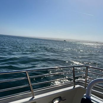 Discovery Whale Watch - Amazing ocean view - Whale Watching Tours Near Me - Monterey, California