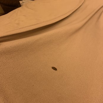 Rodeway Inn - Cigarette hole - Hotels Near Me - Galveston, Texas Rodeway Inn - Cigarette hole - Hotels Near Me - Galveston, Texas