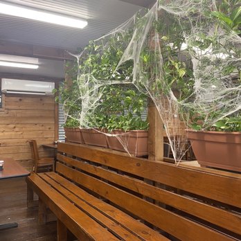 Mom's Country Kitchen - Inside! Those are real plants! - American Near Me - Houston, Texas