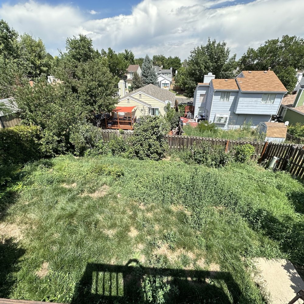 Leaves Landscaping - Before 3 - Landscaping Near Me Leaves Landscaping - Before 3 - Landscaping Near Me