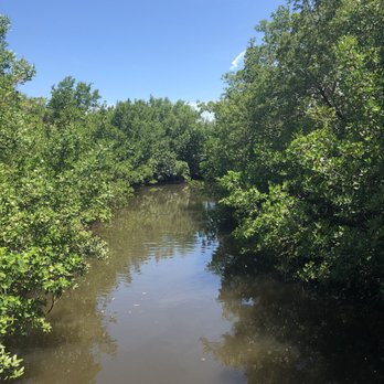 Anne Kolb Nature Center - Parks Near Me - Hollywood, Florida