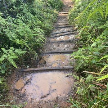 Wiliwilinui Ridge Trail - Hiking Near Me Wiliwilinui Ridge Trail - Hiking Near Me