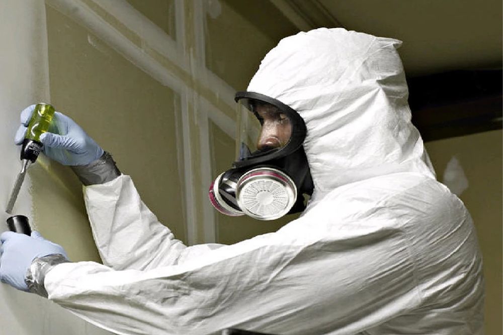 John Mold Inspection & Testing - mold inspector in Los Angeles, CA