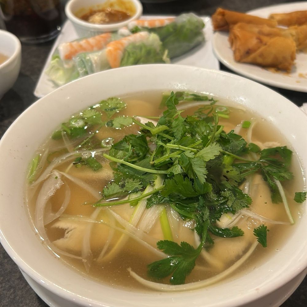 Chicken Pho and spring rolls