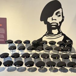 Black Panther Party Museum - Panther gear