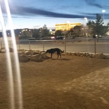 Silverado Ranch Park - Dog park - Parks Near Me - Las Vegas, Nevada Silverado Ranch Park - Dog park - Parks Near Me - Las Vegas, Nevada