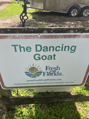 The Dancing Goat by null