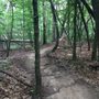 Photo of Charleston Park