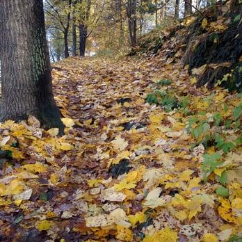 St. Hanshaugen - Parks Near Me - Oslo, 03