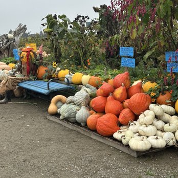 Westham Island Herb Farm - Farmers Market Near Me - Delta, British Columbia Westham Island Herb Farm - Farmers Market Near Me - Delta, British Columbia