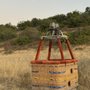 Photo of Compass Balloons