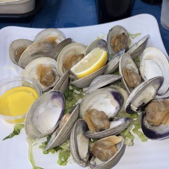 The Pig & Parrot - Brielle - Little Neck Clams - Bars Near Me - Brielle, New Jersey The Pig & Parrot - Brielle - Little Neck Clams - Bars Near Me - Brielle, New Jersey