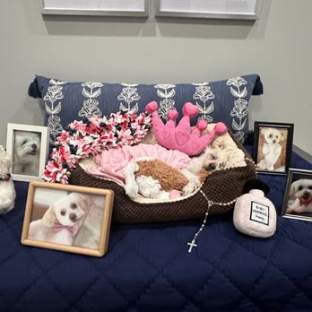 Final Gift Pet Memorial Center - Pet Cremation Services Near Me - Oxford, Connecticut Final Gift Pet Memorial Center - Pet Cremation Services Near Me - Oxford, Connecticut