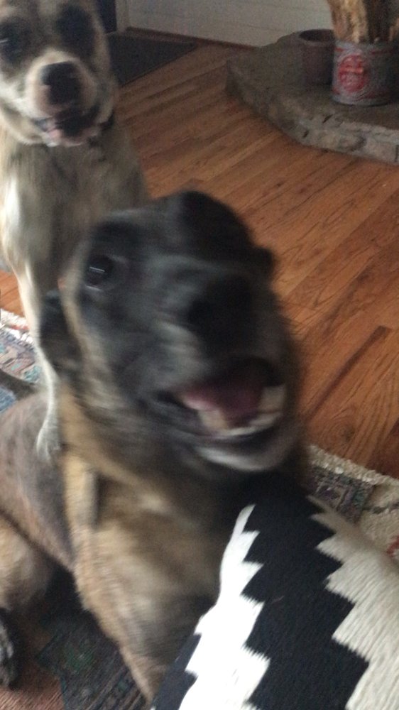 THE LA CROSSE ANIMAL HOSPITAL with reviews Updated September 2024