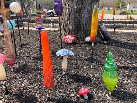 Jack Pine Studio by null