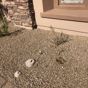 Citiscapes - More dead plants - Landscaping Near Me - Phoenix, Arizona