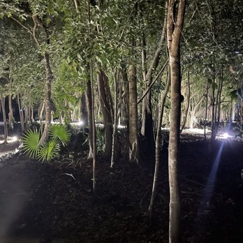 Akumal Natura Glamping - Pathways that connect everything at night. So much more beautiful in person. - Hotels Near Me - Tulum, ROO