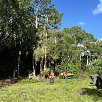 A Better Landscape Service - Tree Removal - Landscaping Near Me - Jupiter, Florida