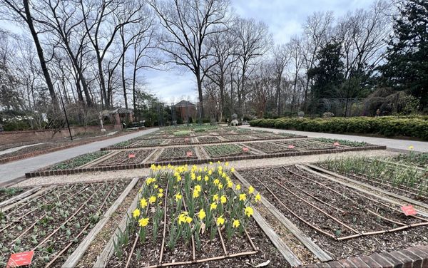 Dixon Gallery & Gardens by null