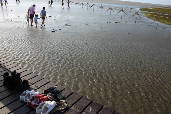 Gaomei Wetlands by null