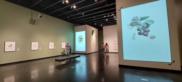 The Dalí Museum by null
