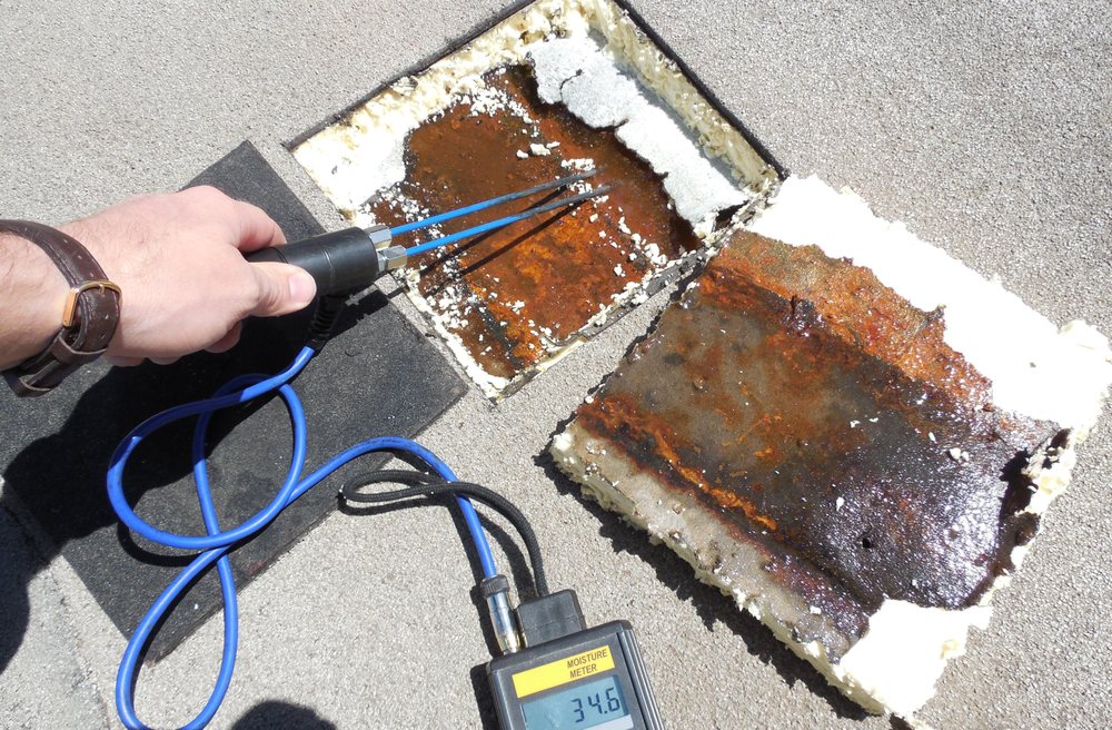 CORE Forensics - mold inspector in Springtown, TX