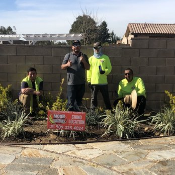 Moon Valley Nurseries - Tree Services Near Me - Chino, California Moon Valley Nurseries - Tree Services Near Me - Chino, California