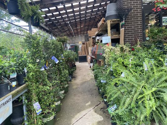 GANIM GARDEN CENTER & FLORIST - 25 Photos & 23 Reviews - 320 Kings Hwy