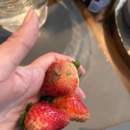 Rotting strawberries Rotting strawberries