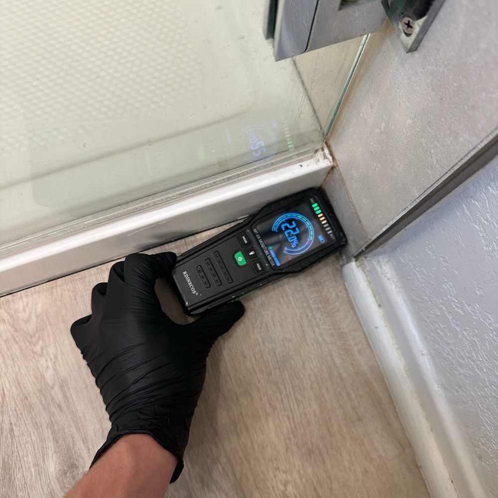24H Mold Inspection - Home Inspectors Near Me - Los Angeles, California