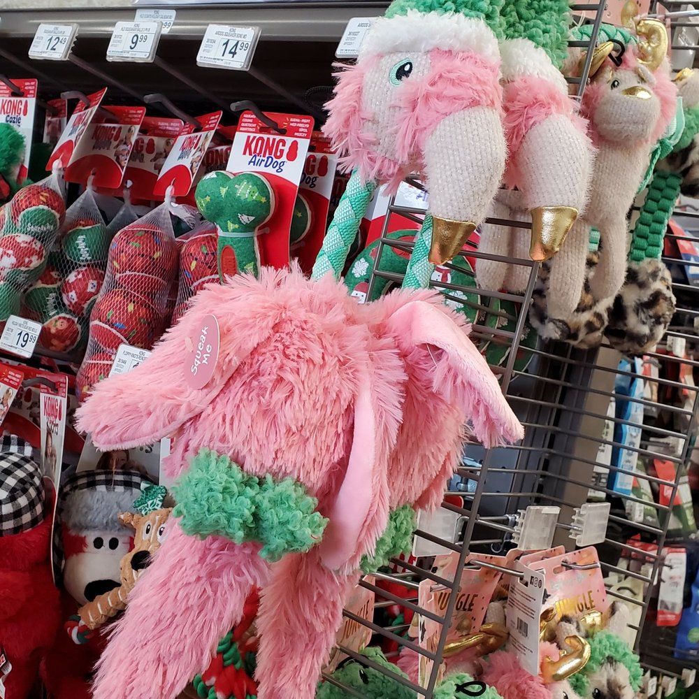 Petco - Idk why I find this so cute lol - Pet Stores Near Me - Ewa, Hawaii Petco - Idk why I find this so cute lol - Pet Stores Near Me - Ewa, Hawaii