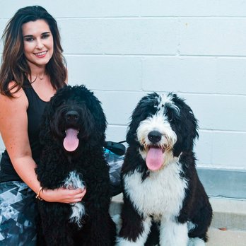 Elle McCall - Elle McCall's founder, Lauren McCall. - Pet Sitting Near Me