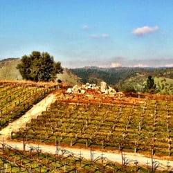 Gold Hill Vineyard & Brewery - Vineyards