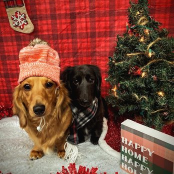 Cascade Pet - Spa & Boutique - Pet Groomers Near Me - Sisters, Oregon Cascade Pet - Spa & Boutique - Pet Groomers Near Me - Sisters, Oregon