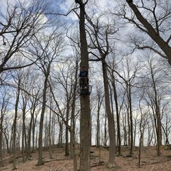 Clarence Fahnestock State Park