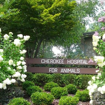 Cherokee Hospital for Animals - Veterinarians Near Me - Johnson City, Tennessee Cherokee Hospital for Animals - Veterinarians Near Me - Johnson City, Tennessee