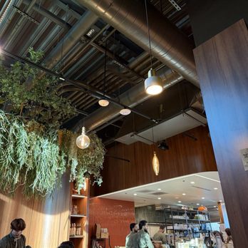 Escape 360 - Cafes Near Me - McKinney, Texas Escape 360 - Cafes Near Me - McKinney, Texas