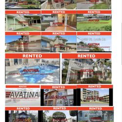 Thomas Wilson - Avatina - RENTED BY AVATINA