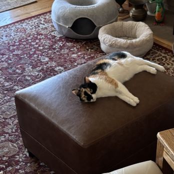MJ's Custom Upholstery & Design - Newly redone ottoman. Cat approved, too :-) - Furniture Reupholstery Near Me - Whittier, California MJ's Custom Upholstery & Design - Newly redone ottoman. Cat approved, too :-) - Furniture Reupholstery Near Me - Whittier, California