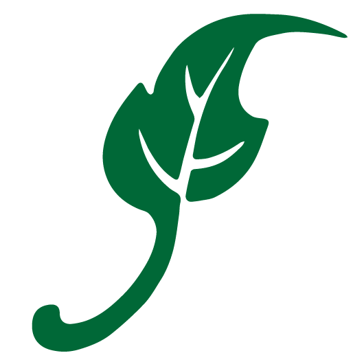 Slide of Green Leaf Roofers