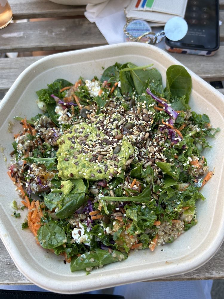 SPROUT & CO Updated August 2024 28 Photos 5 Mount Street Lower