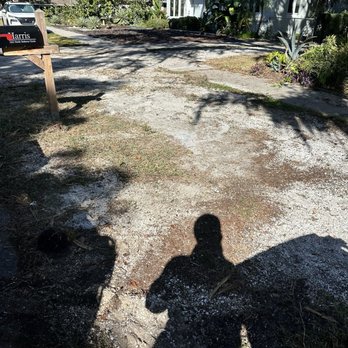 Campbells Noble Tree Service - Before - Tree Services Near Me