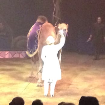 Big Apple Circus - Camels - Performing Arts Near Me - New York, New York