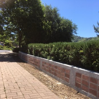 Amber Swartz Park - Public Services & Government Near Me - Pinole, California
