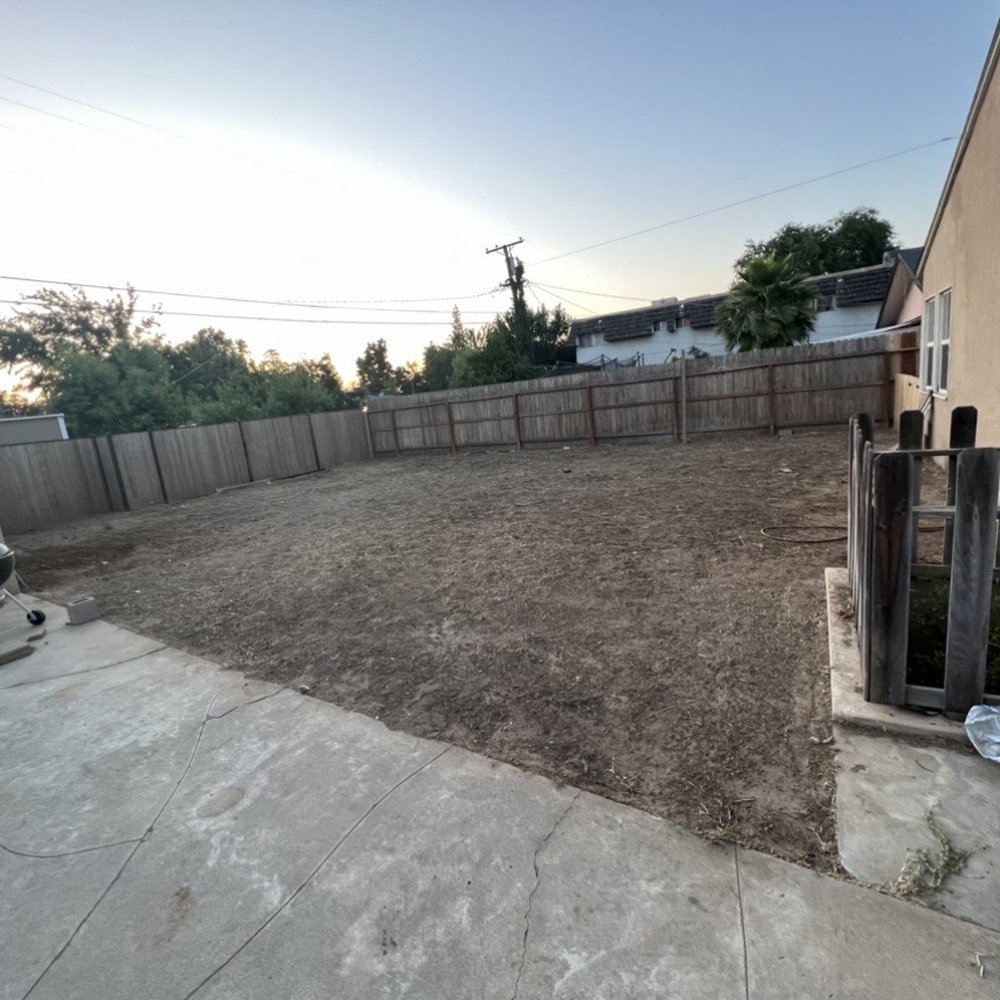 Caliarbor - After - Tree Services Near Me Caliarbor - After - Tree Services Near Me
