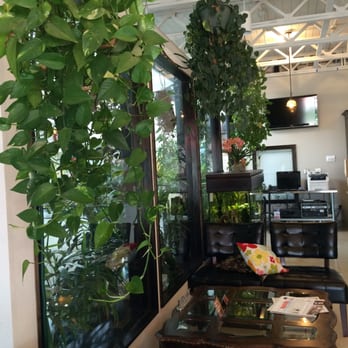 Tran Vitality Essentials - Our Lobby - Tai Chi Near Me - Richardson, Texas Tran Vitality Essentials - Our Lobby - Tai Chi Near Me - Richardson, Texas